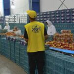 صادرات میوه از ایران