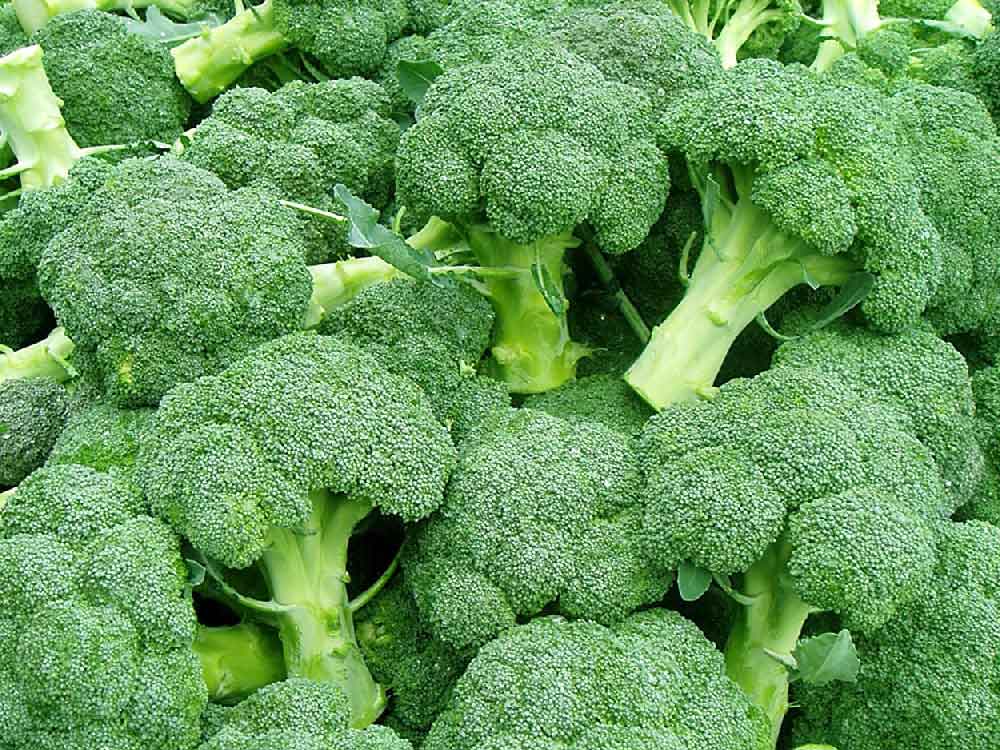 Exporting broccoli from Iran
